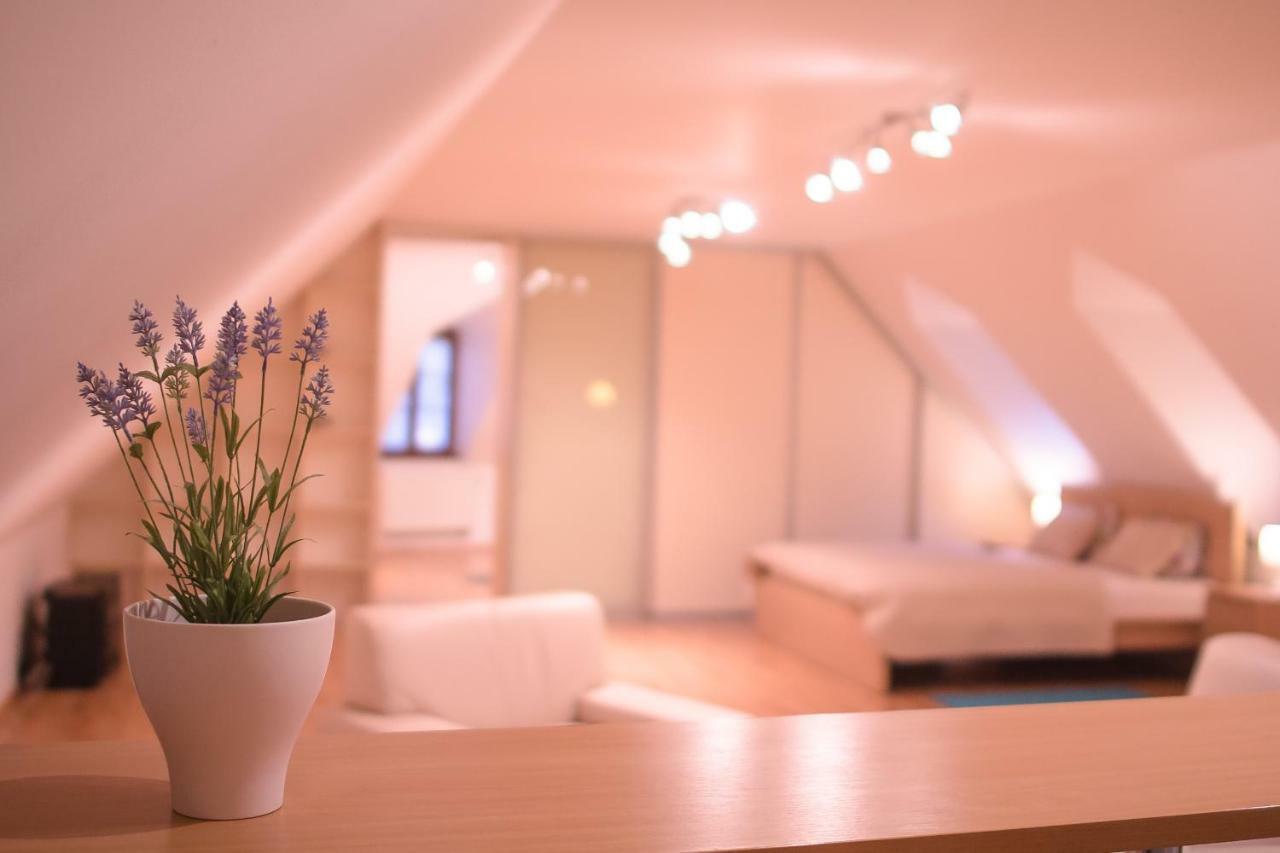 Old Town Apartment Trencin Ngoại thất bức ảnh